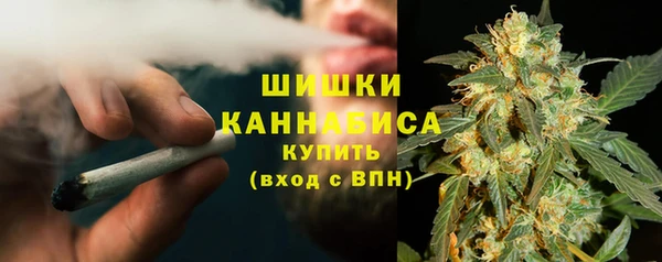 spice Бородино