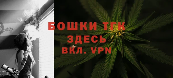 гашиш Богданович