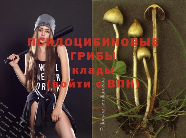 бошки Березники