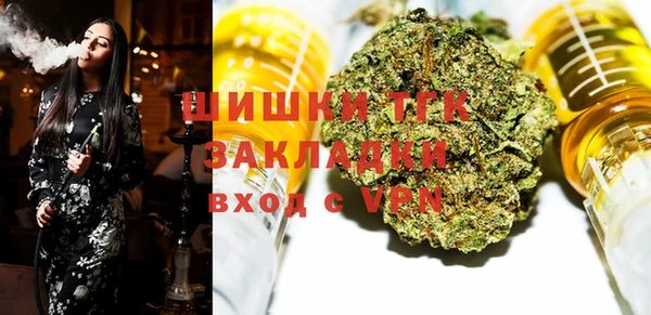 гашиш Богданович