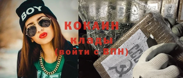 гашиш Богданович