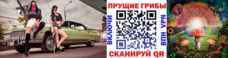 Псилоцибиновые грибы GOLDEN TEACHER  цена наркотик  Городовиковск 