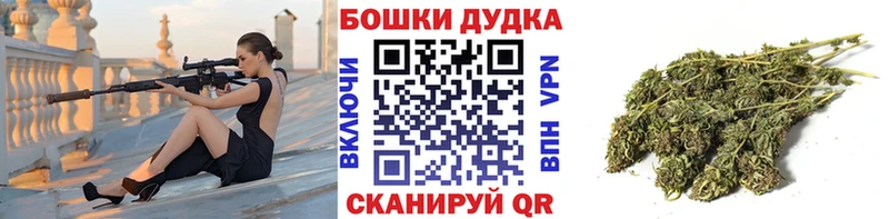 где купить наркоту  Городовиковск  hydra ONION  Канабис Ganja 